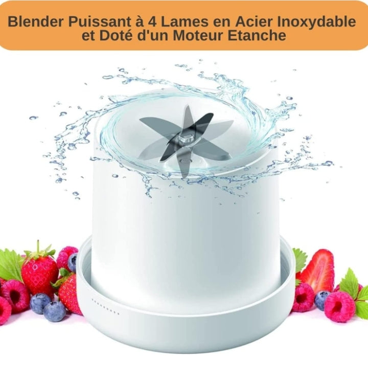 Mini- Mixeur Rechargeable